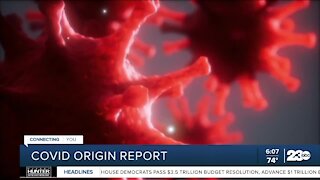 Report: Review of COVID origins inconclusive