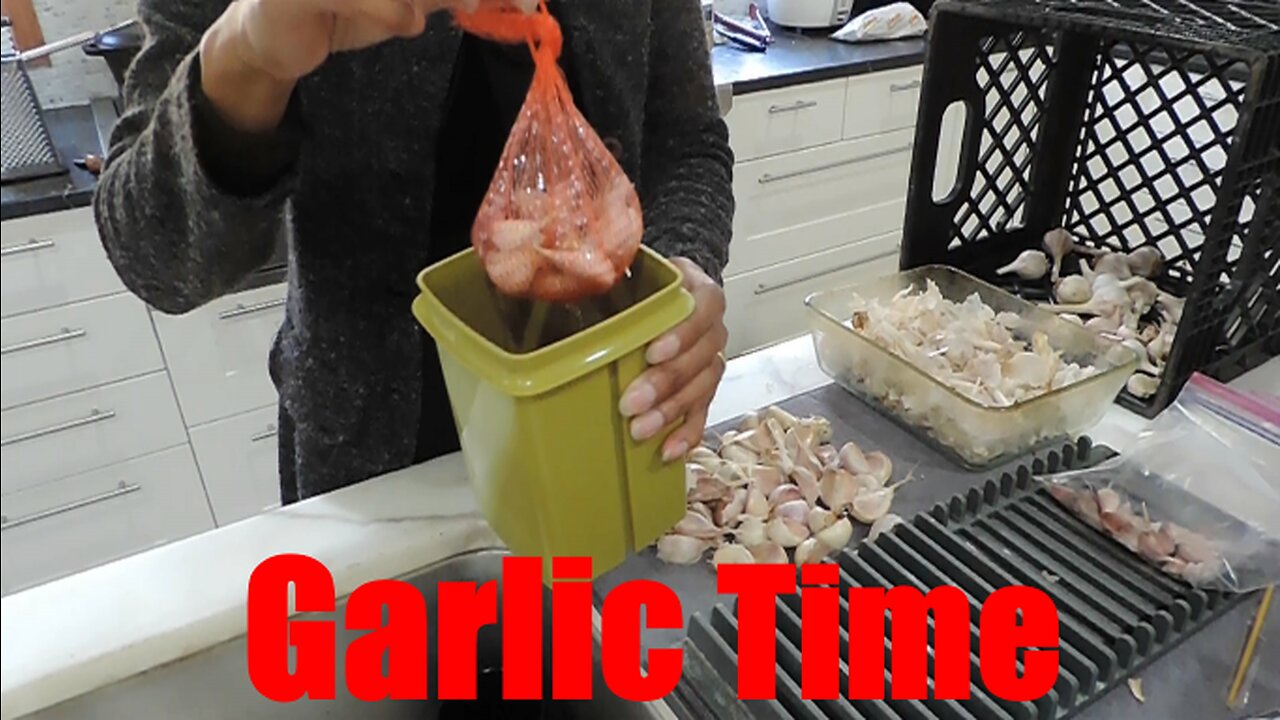 It's Not Too Late! Planting Garlic