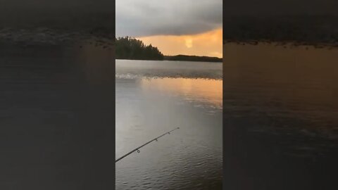 The arrival of the rain.