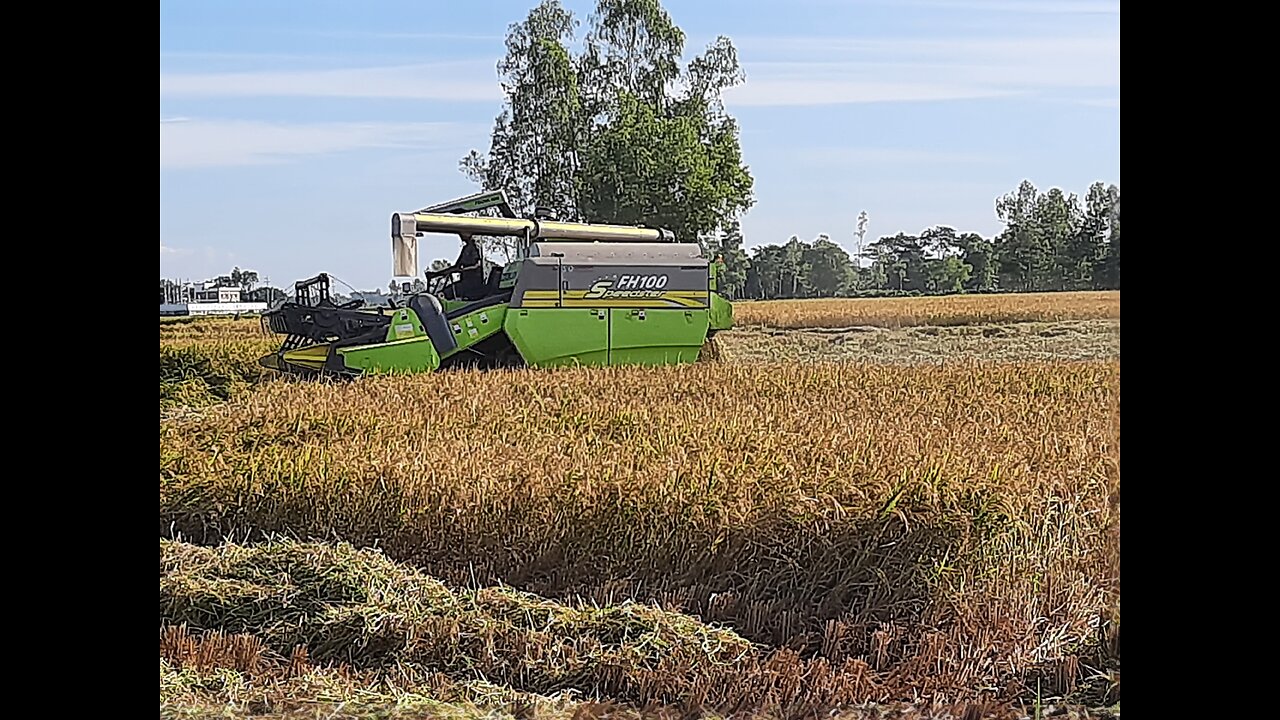 Agriculture season