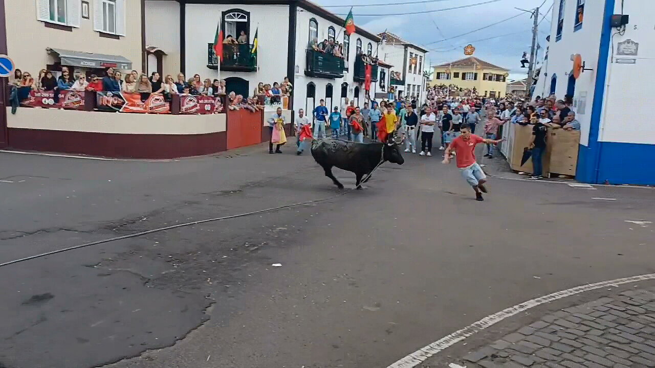 Marrada Tourada Das Lajes - (João Puga) - Touro ER 396