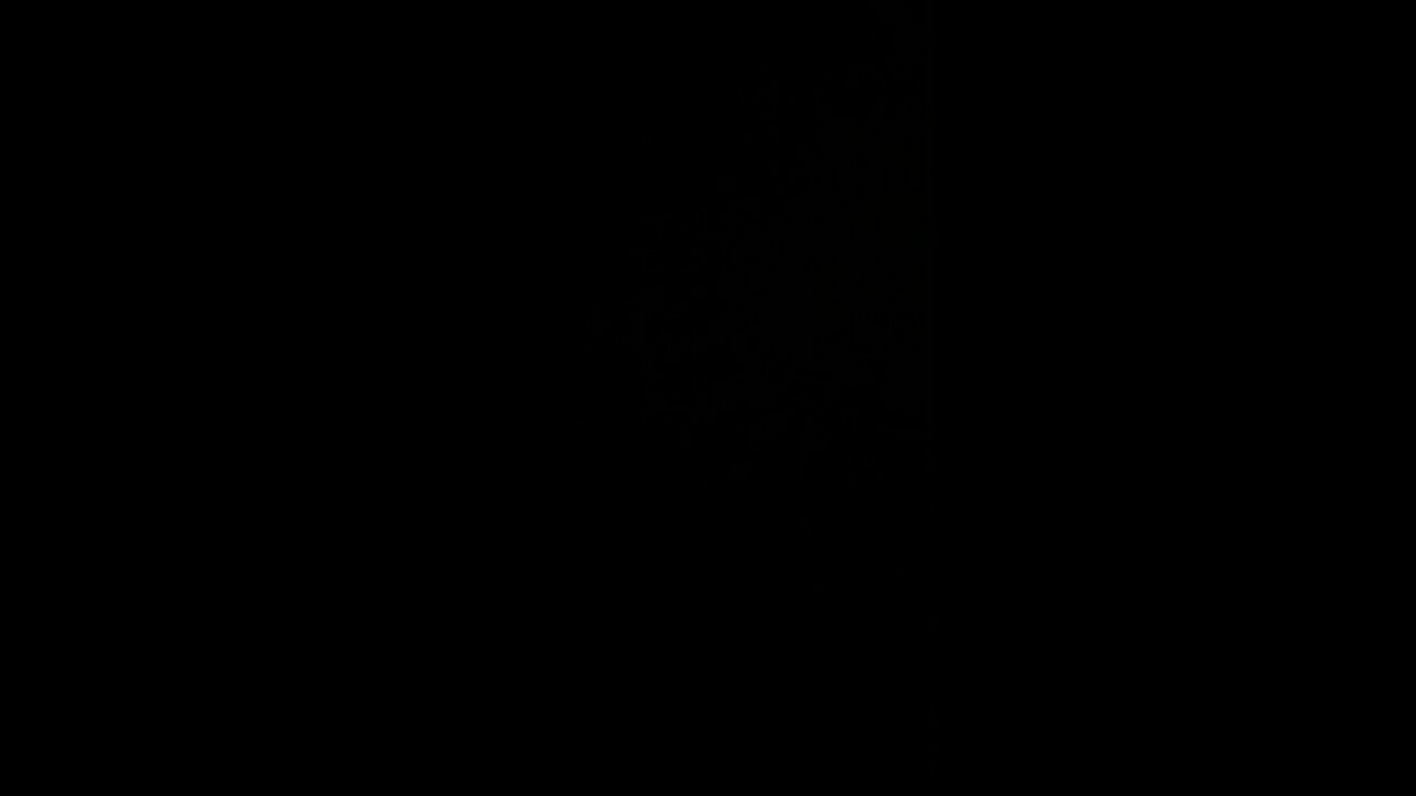 Flash