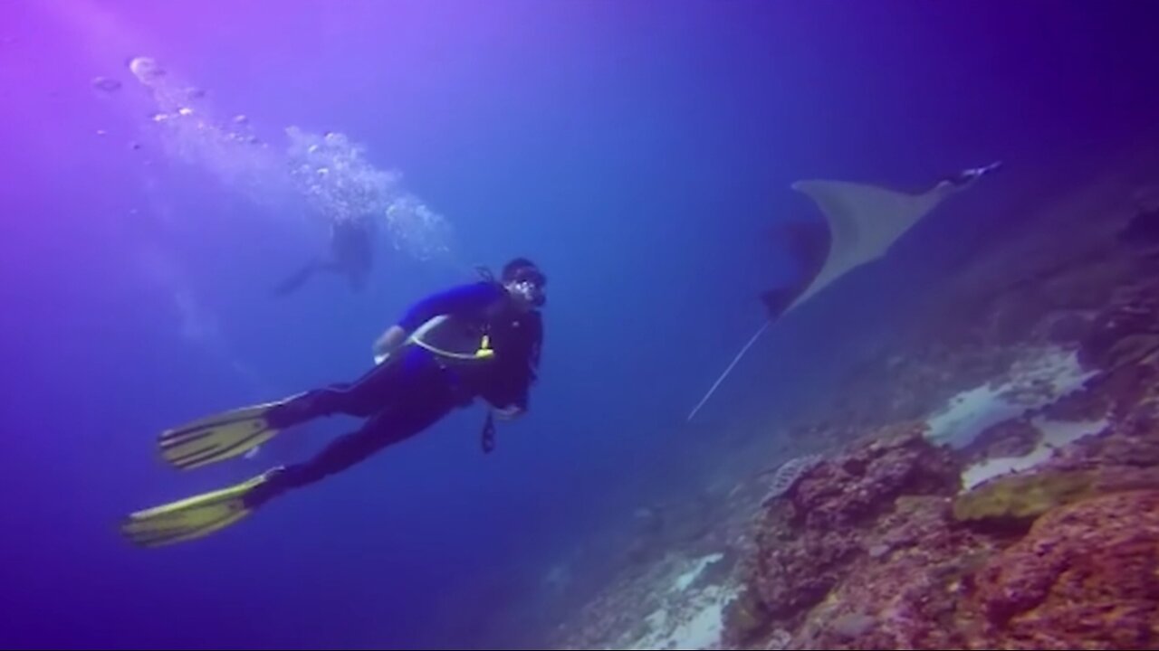 Diving Diving in the Beauty of Nusa Penida Bali Indonesia