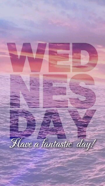 Happy Wednesday