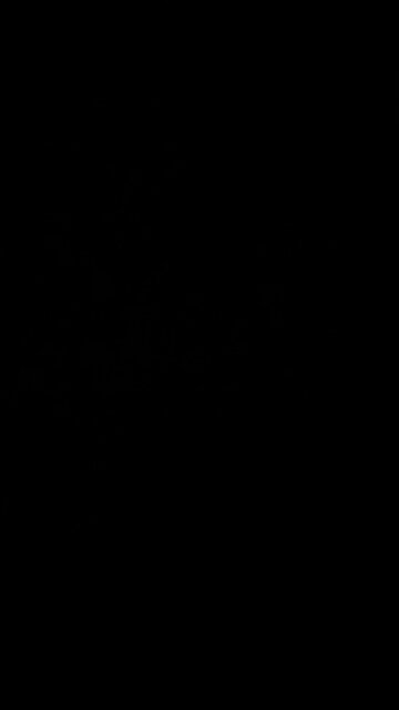 Immediate termination