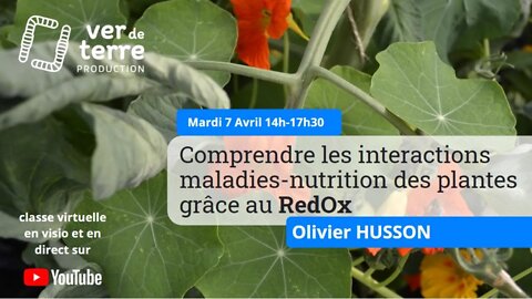 Comprendre les interactions maladies-nutrition des plantes grâce au RedOx, avec Olivier Husson