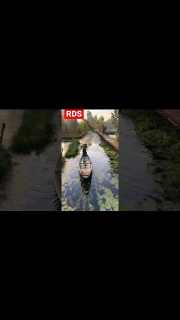 Kashmir Nature #shorts