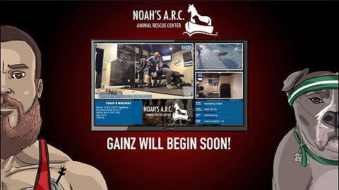 Fitness w/Hank-a-Tank [Week 11] // Back & Legs // Animal Rescue Stream