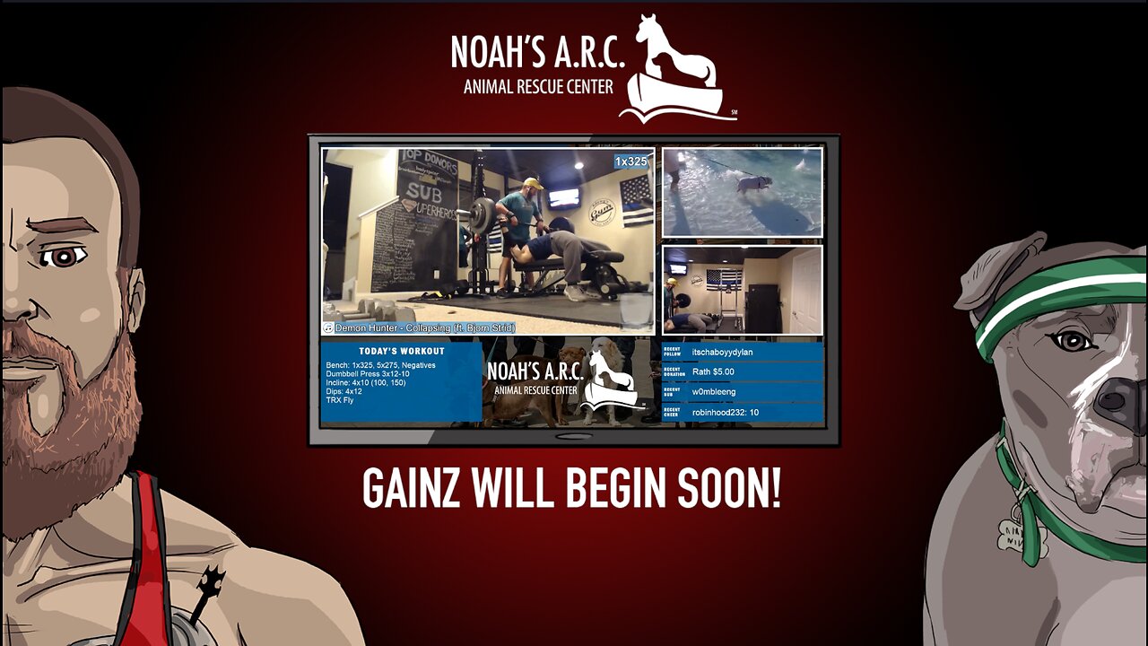Fitness w/Hank-a-Tank [Week 11] // Back & Legs // Animal Rescue Stream