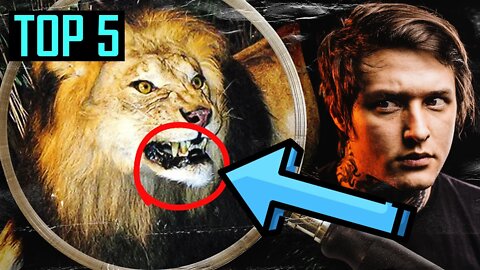 TOP 5 CASOS DE ANIMAIS SERIAL KILLERS DA HISTÓRIA