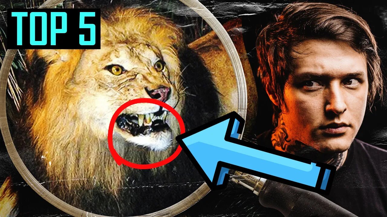 TOP 5 CASOS DE ANIMAIS SERIAL KILLERS DA HISTÓRIA