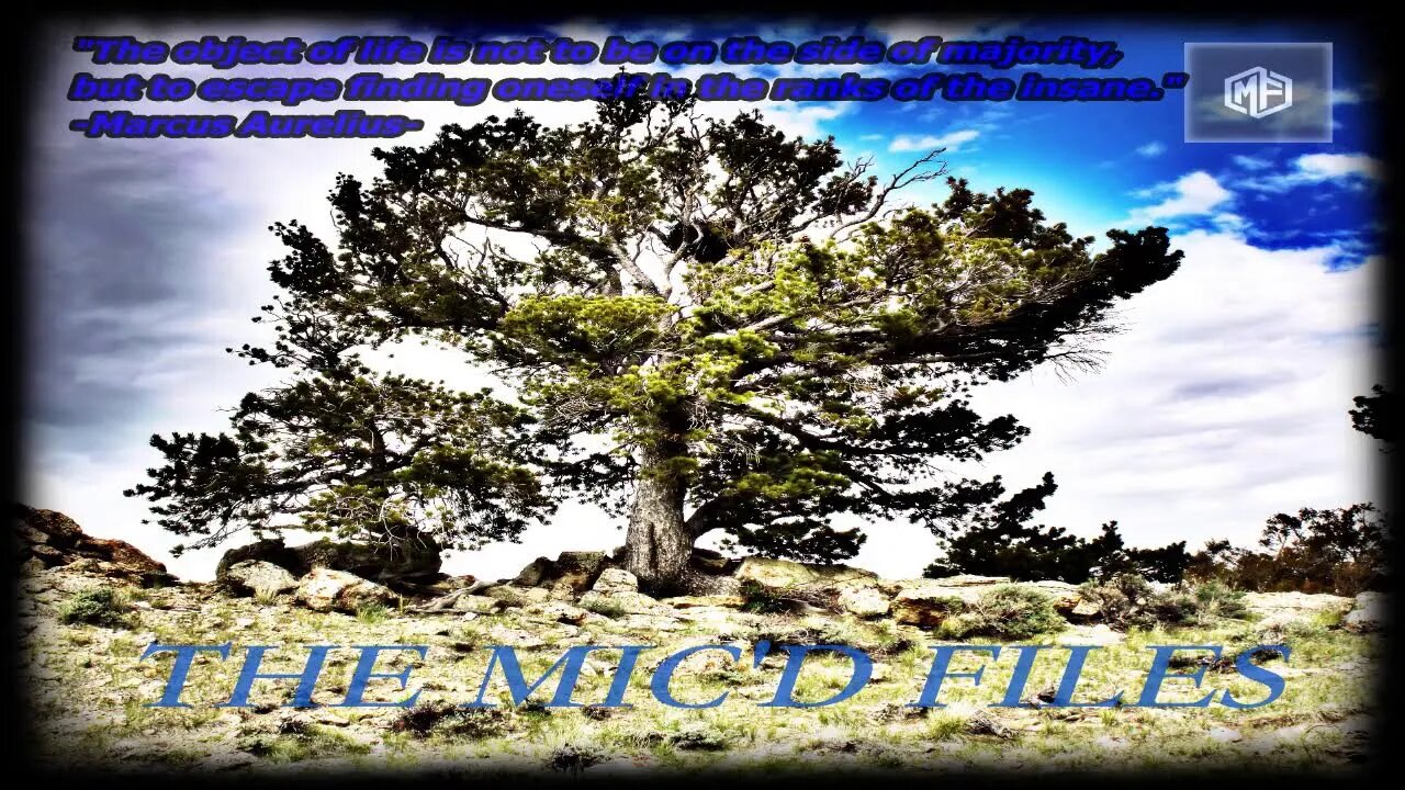 The Mic'd Files: June 8, 2022