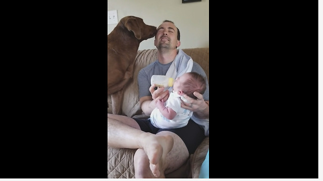 Overly Compassionate Pooch Helps Owner Feed A Newborn Baby