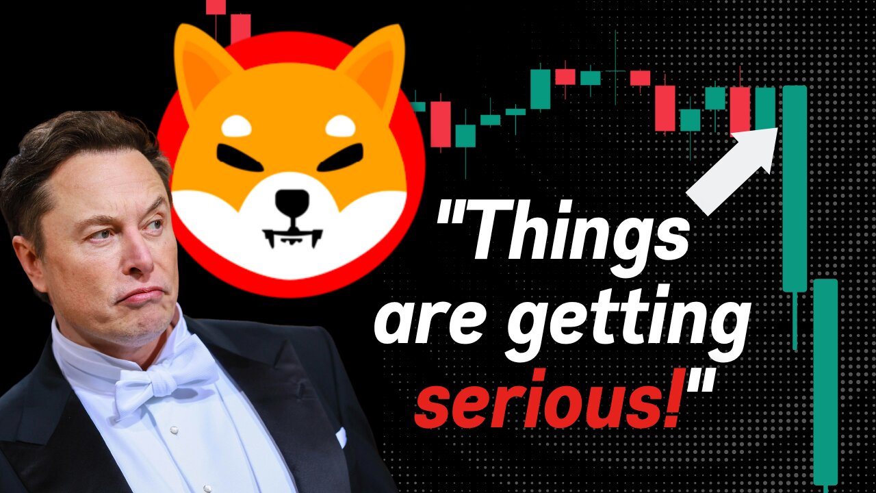 THINGS ARE GETTING SERIOUS FOR SHIBA INU! (SHIB PRICE PREDICTION)