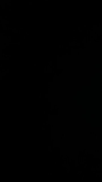 Marjorie Taylor greene