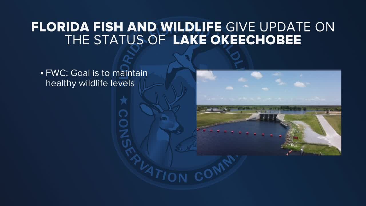 FWC presenting new Lake Okeechobee management plan