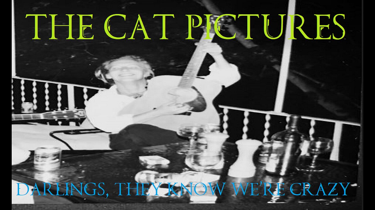 The Cat Pictures - Darlings, They Know We're Crazy