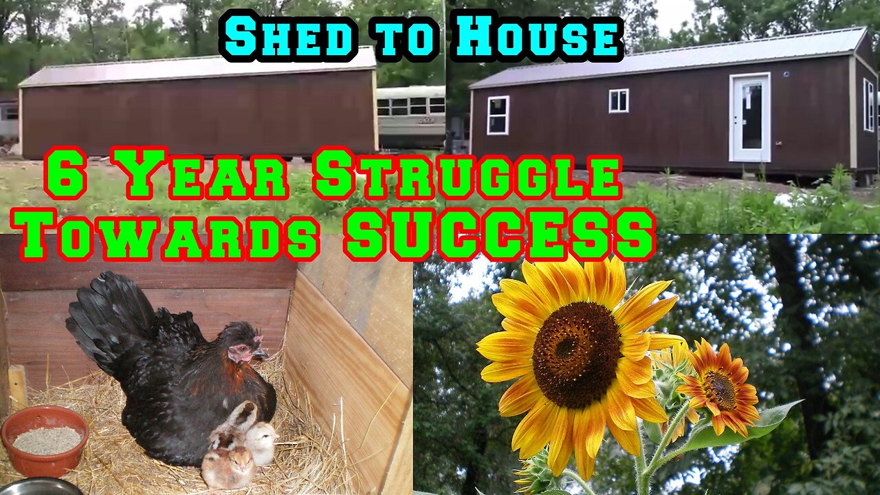 DISABLED Man 6 YEAR Struggle Against Parkinson's Towards Homestead Business Success | Shed To House