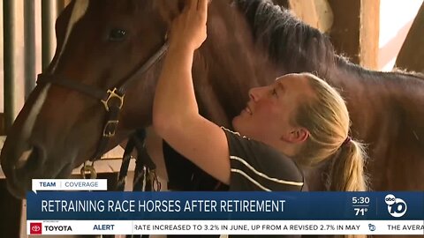 A Fallbrook horse ranch is giving former racehorses a beautiful second chapter