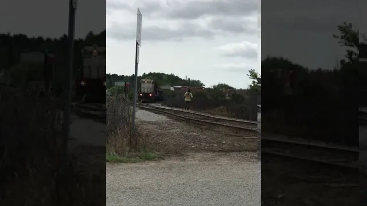 Ultra closeup of the Escanaba & Lake Superior SD9