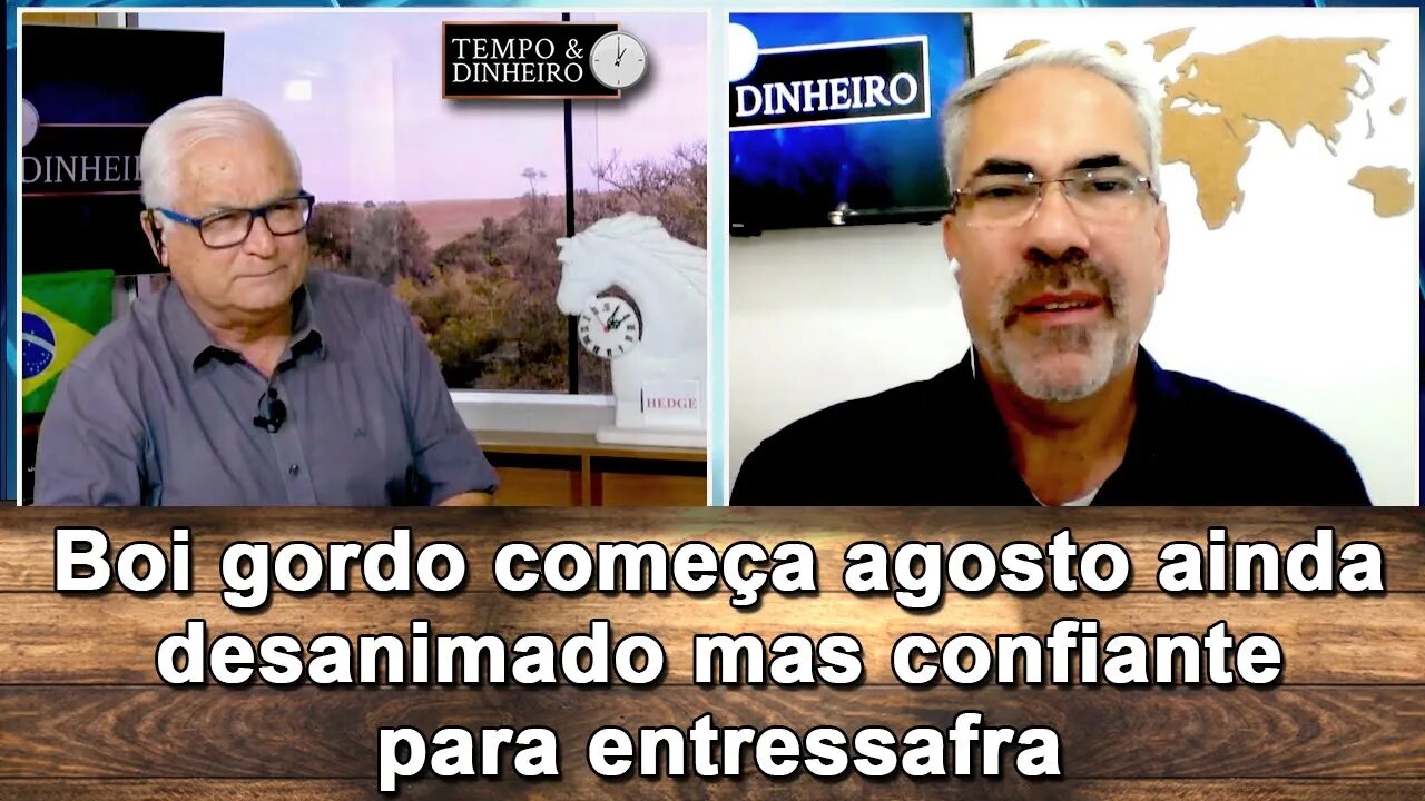 Boi gordo começa agosto ainda desanimado mas confiante para entressafra