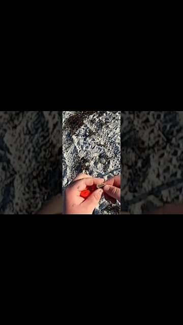 Metal Detecting Florida Beach For Treasure and Silver and Gold Jewelry July 19 2022