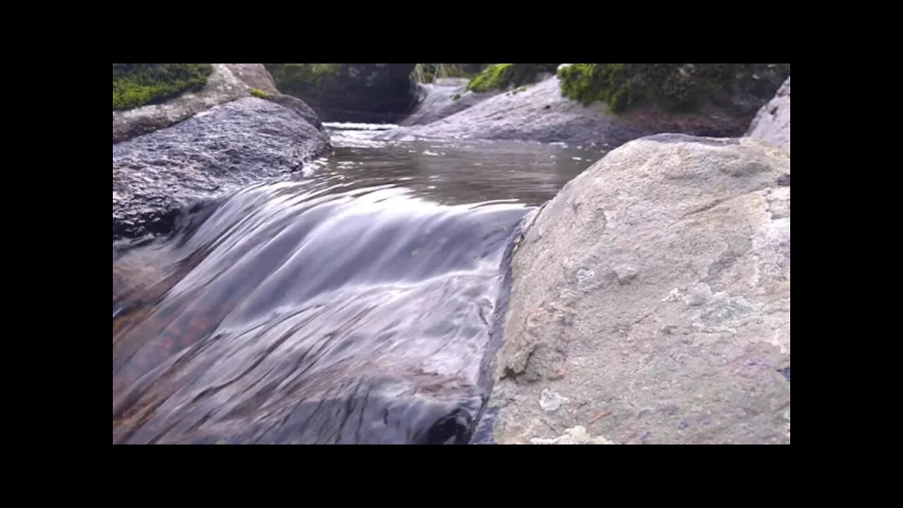 Natureza 🥰