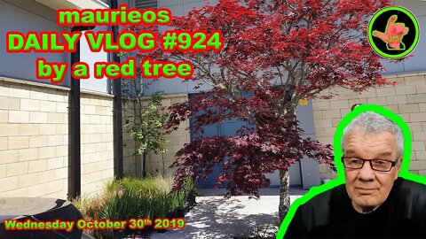 maurieos DAILY VLOG #924 by a red tree