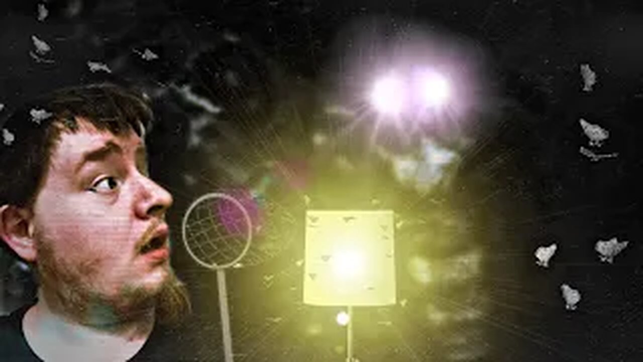 NEVER GO MOTH CATCHING!! | Moth House