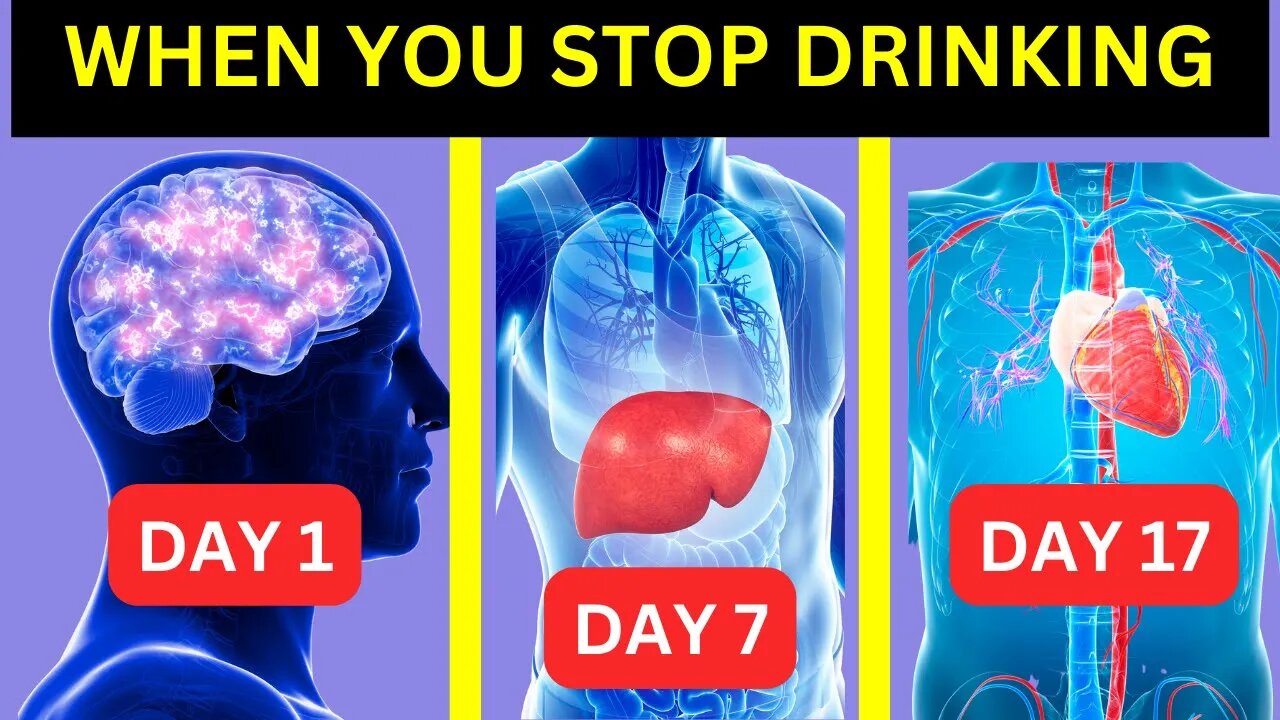 What Happens To Your Body When You Quit Drinking Alcohol