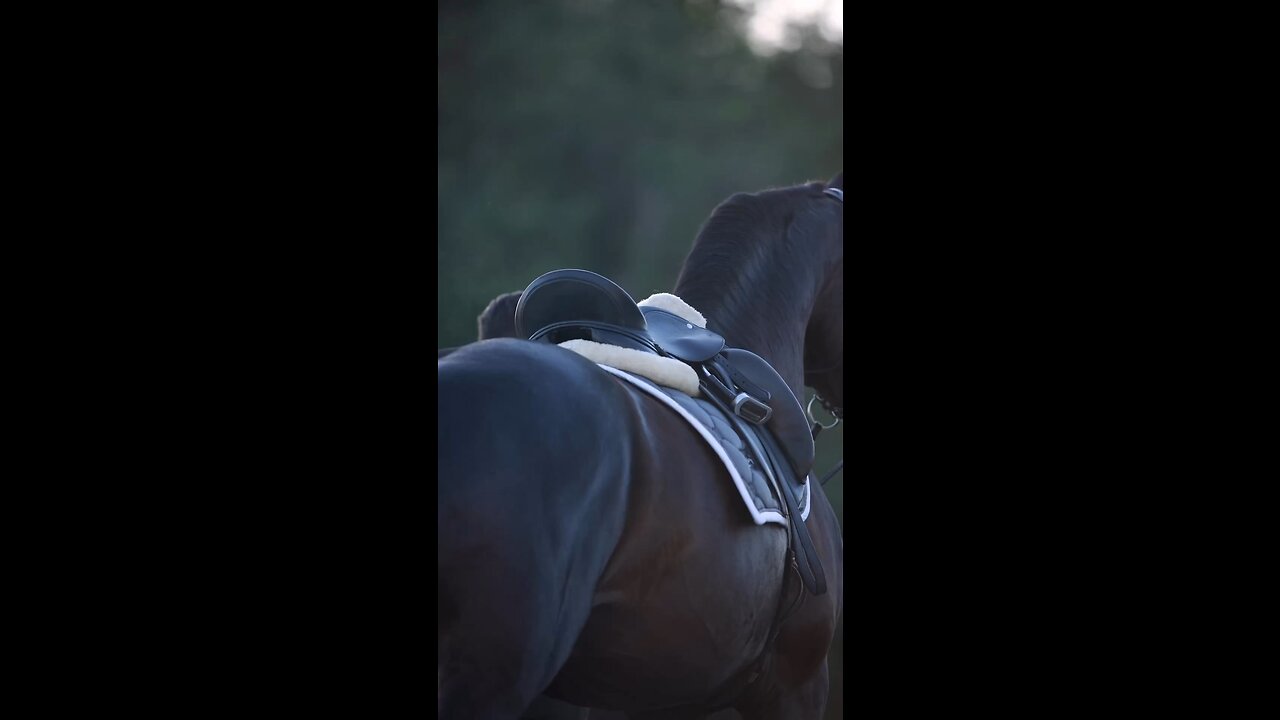 Life is boring without a little bit of excitement and shoulder freedom 😂🐎♥️