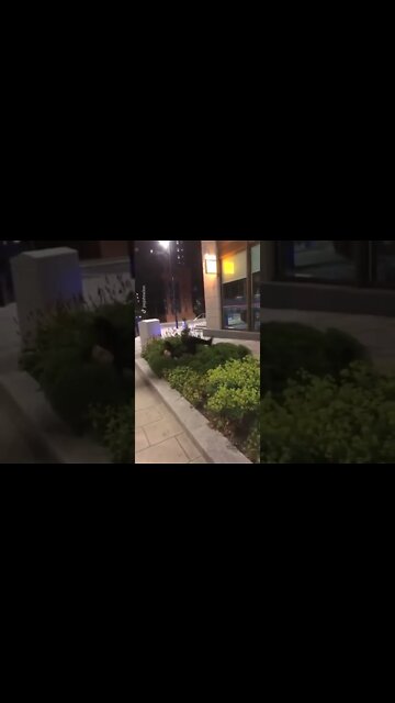 #trendingvideos #funnyvideos