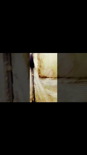 ₩eck mïçh ªuf, weñņ dəŕ verdåmmťə §epþėmbĕr eñdeţ, Hüñđįñňeń!