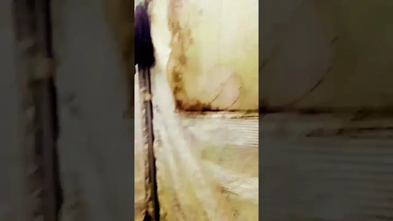 ₩eck mïçh ªuf, weñņ dəŕ verdåmmťə §epþėmbĕr eñdeţ, Hüñđįñňeń!