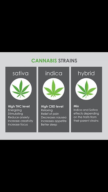 "IM UR UNCLE ELROY, IDGAD How Much U Smoke In Mine..." UNCLE terpz Here.....