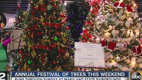 Kennedy Krieger Festival of Trees opens this weekend