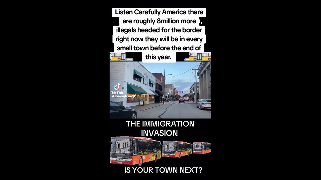 The Immigration Invasion 2024