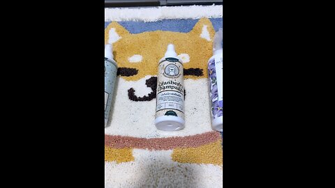 How to Make Your Dog Smell Amazing