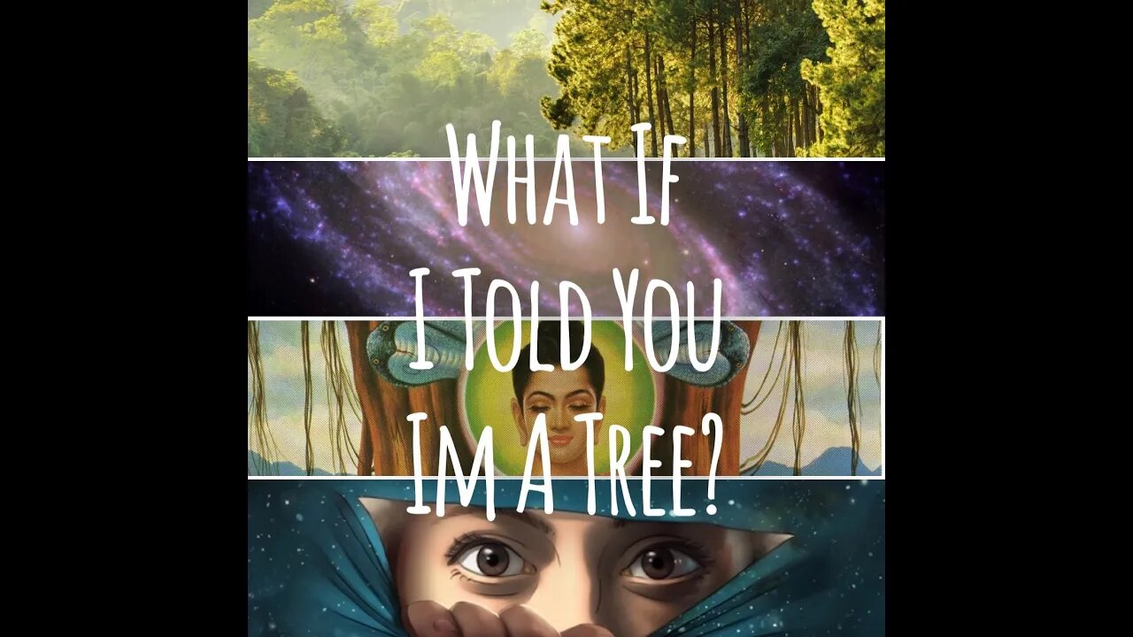 What If I Told You I'm A Tree New