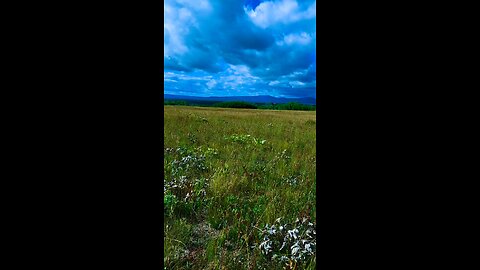 Yellowstone
