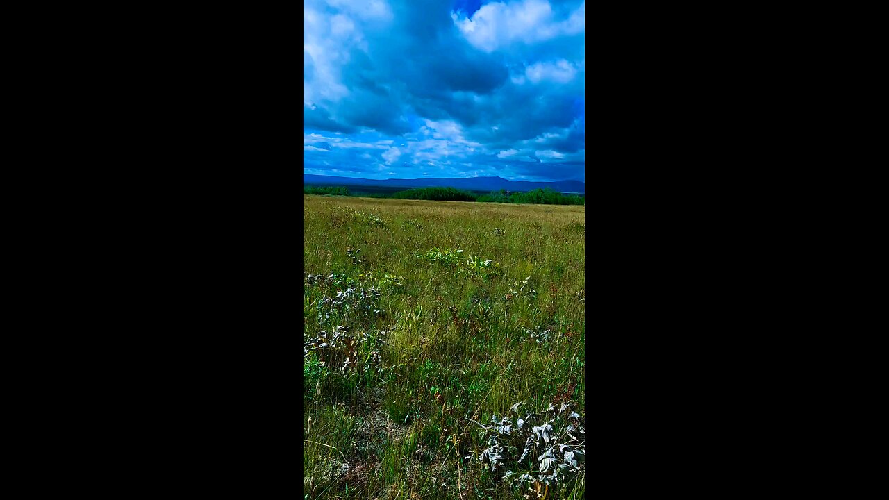 Yellowstone