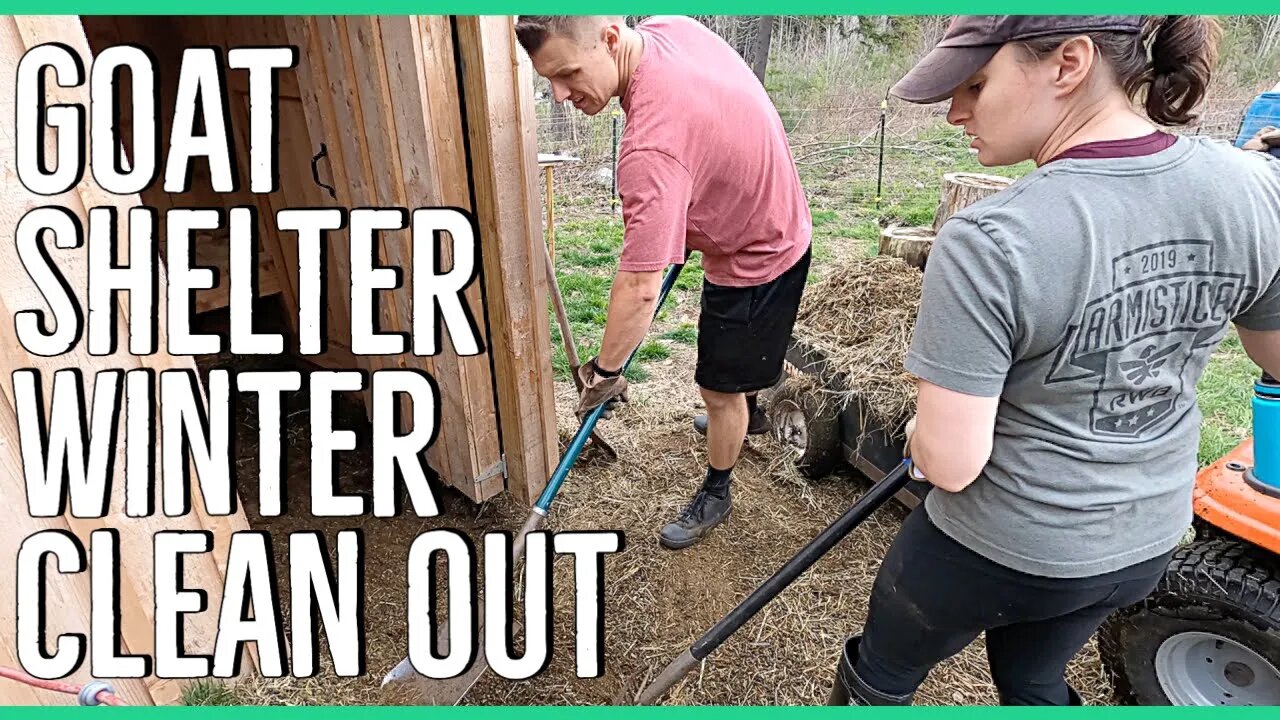 Goat Shelter Winter Clean Out ||So Much Wasted Hay!||