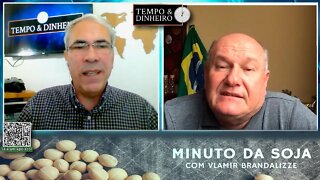 Milho na expectativa da Safrinha e no plantio nos EUA