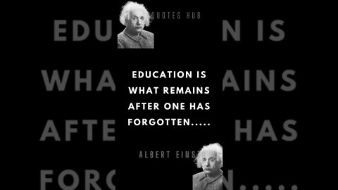 Wise Albert Einstein Quote - Wisdom from the Genius || #quotes || #shorts || #Quotes Hub