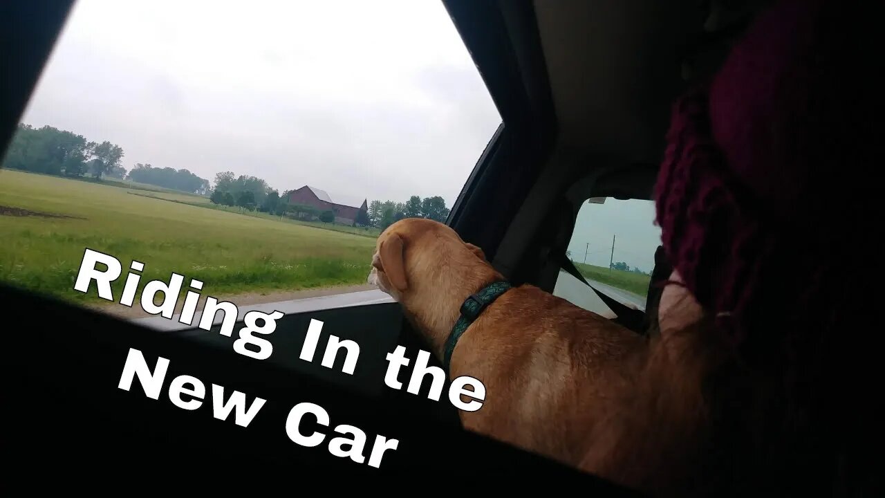 A New Car | Small Family Adventures