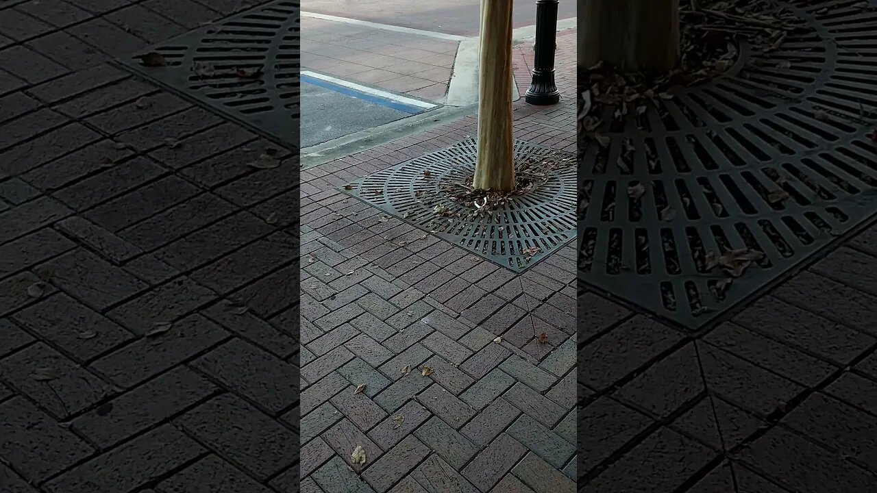 They switched out my Uber ride for a Gang Stalker Pt. 2