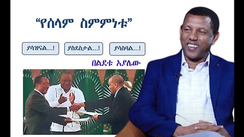"የሰላም ስምምነቱ ያሳዝናል፤ ያስደስታል፤ ያሳስባል" - ልደቱ አያሌው