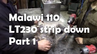 Malawi 110 LT230 strip down. Part 1 (long)