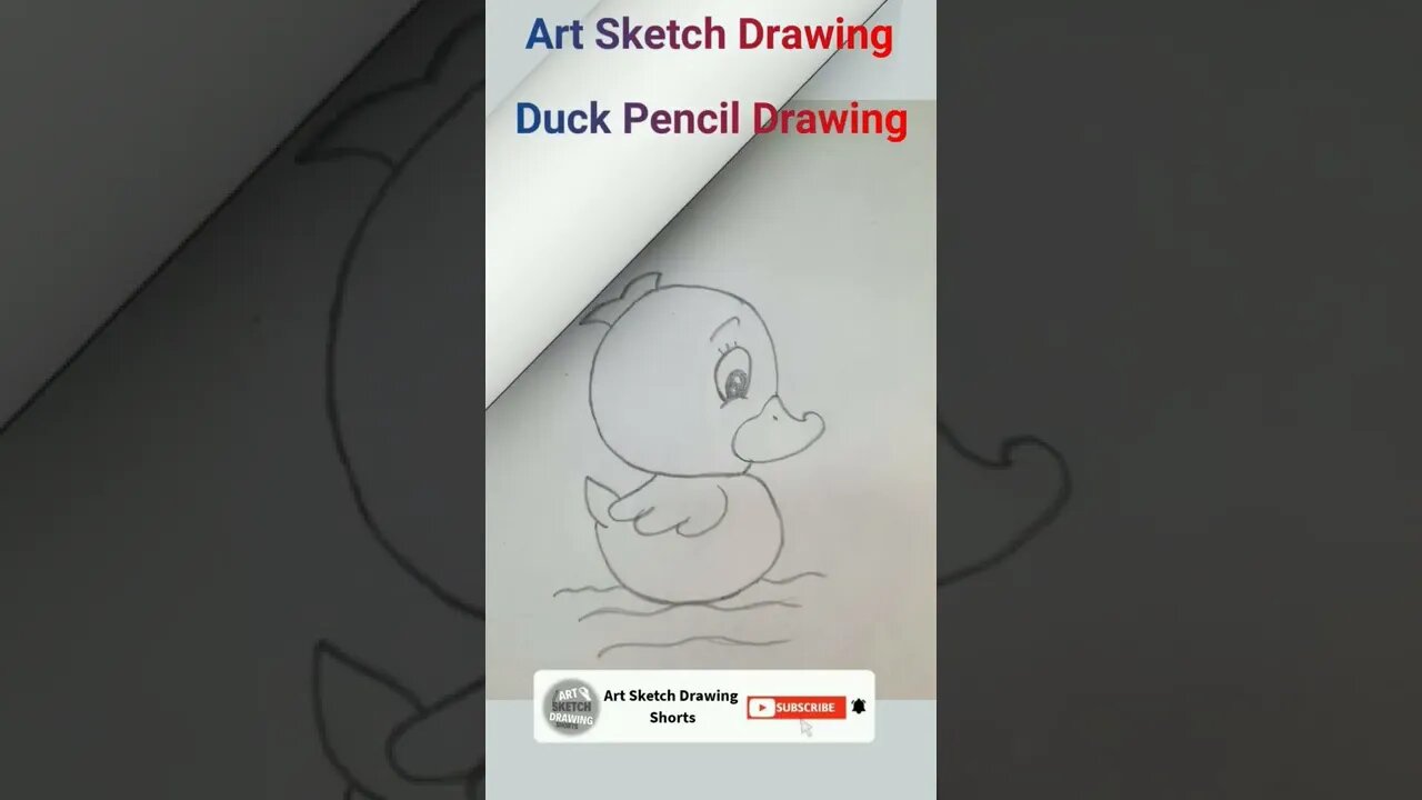 Duck Easy Pencil Drawing Tutorial Step by Step Shorts 3 #drawingshorts #shortsdrawing