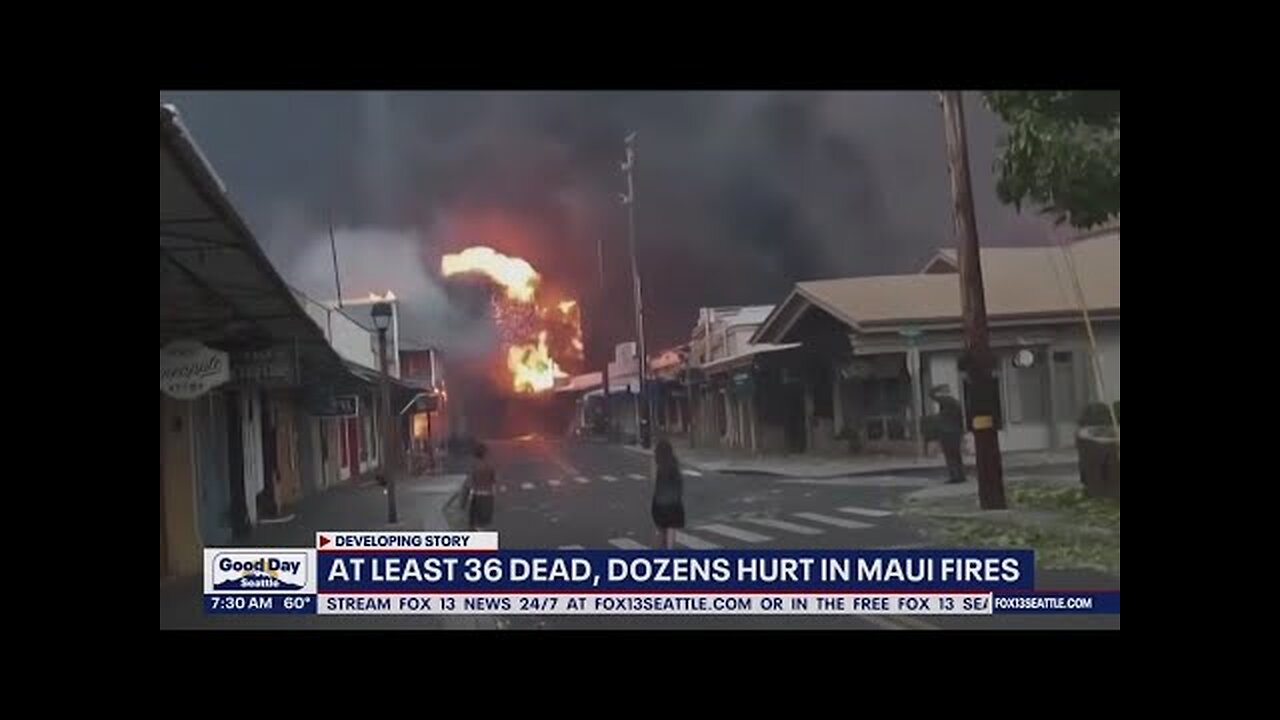 Hawaii wildfires- 36 dead, planes from Maui land in WA USA News